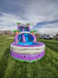 IMG 20240412 182545699 HDR 1713132292 18ft Purple Palm Tree single slide