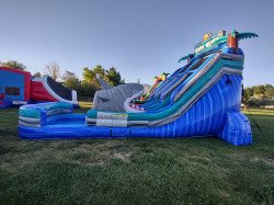 IMG 20240625 201847851 HDR 1719532079 Shark Double lane 18 ft slide