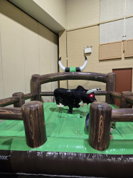 20250509 111833 1749654345 El Toro the Mechanical Bull