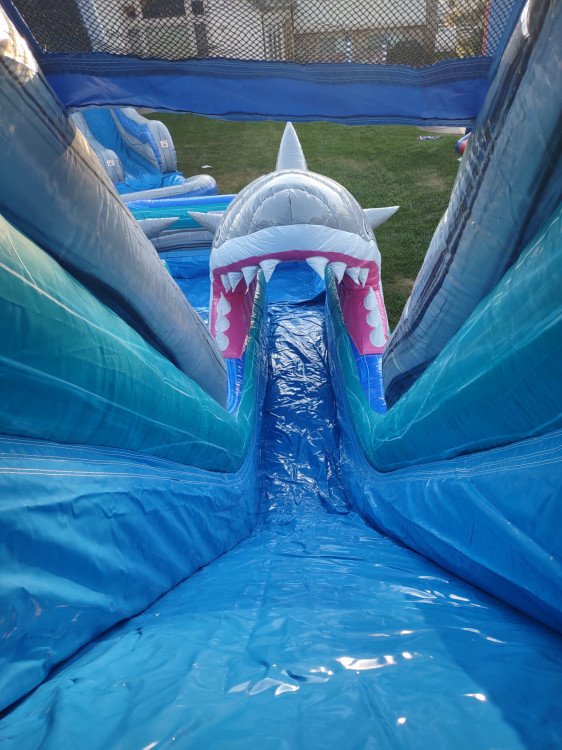 shark Harrisville Home