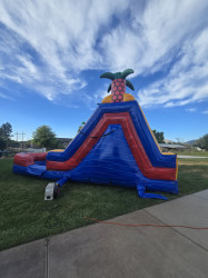 1000008117 1784322012 15ft water slide